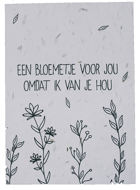 Bloemzaadkaartje "Bloemetje voor jou"
