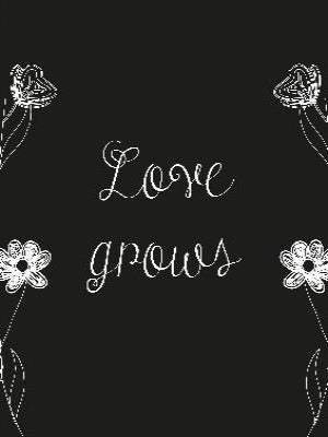 Love Grows Tekst Poster