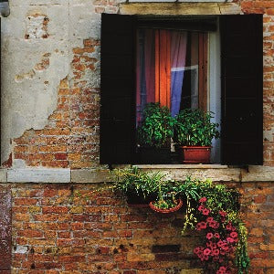 Window (kleur) Poster